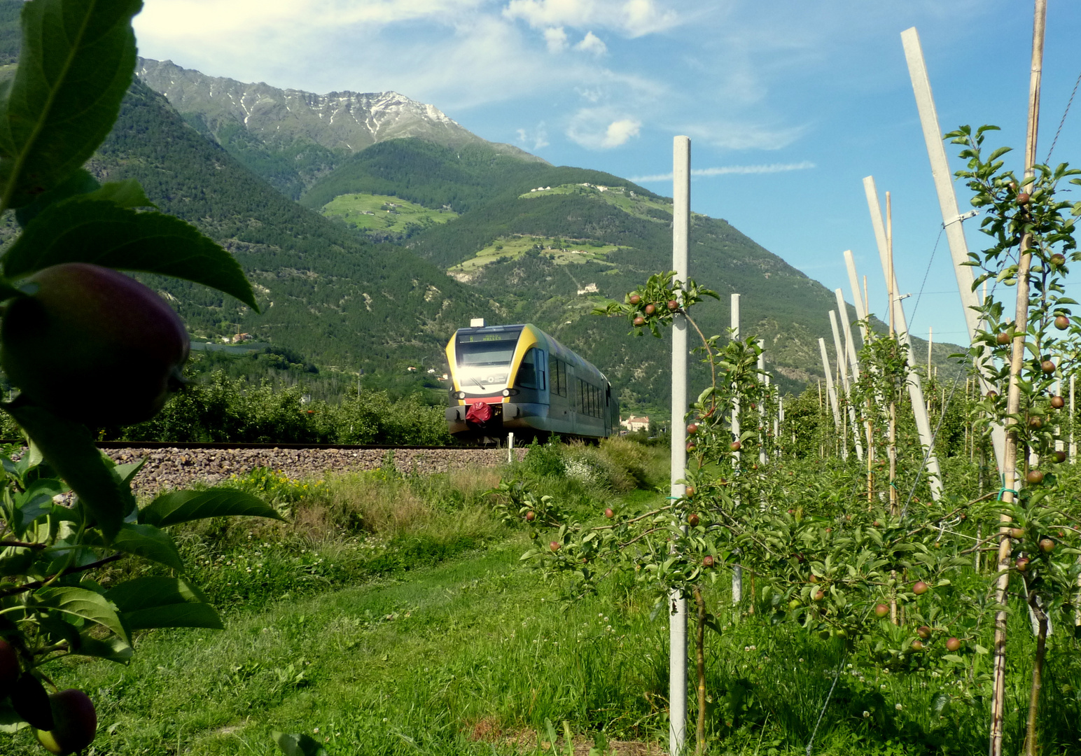 Vinschgerbahn / Italien...03