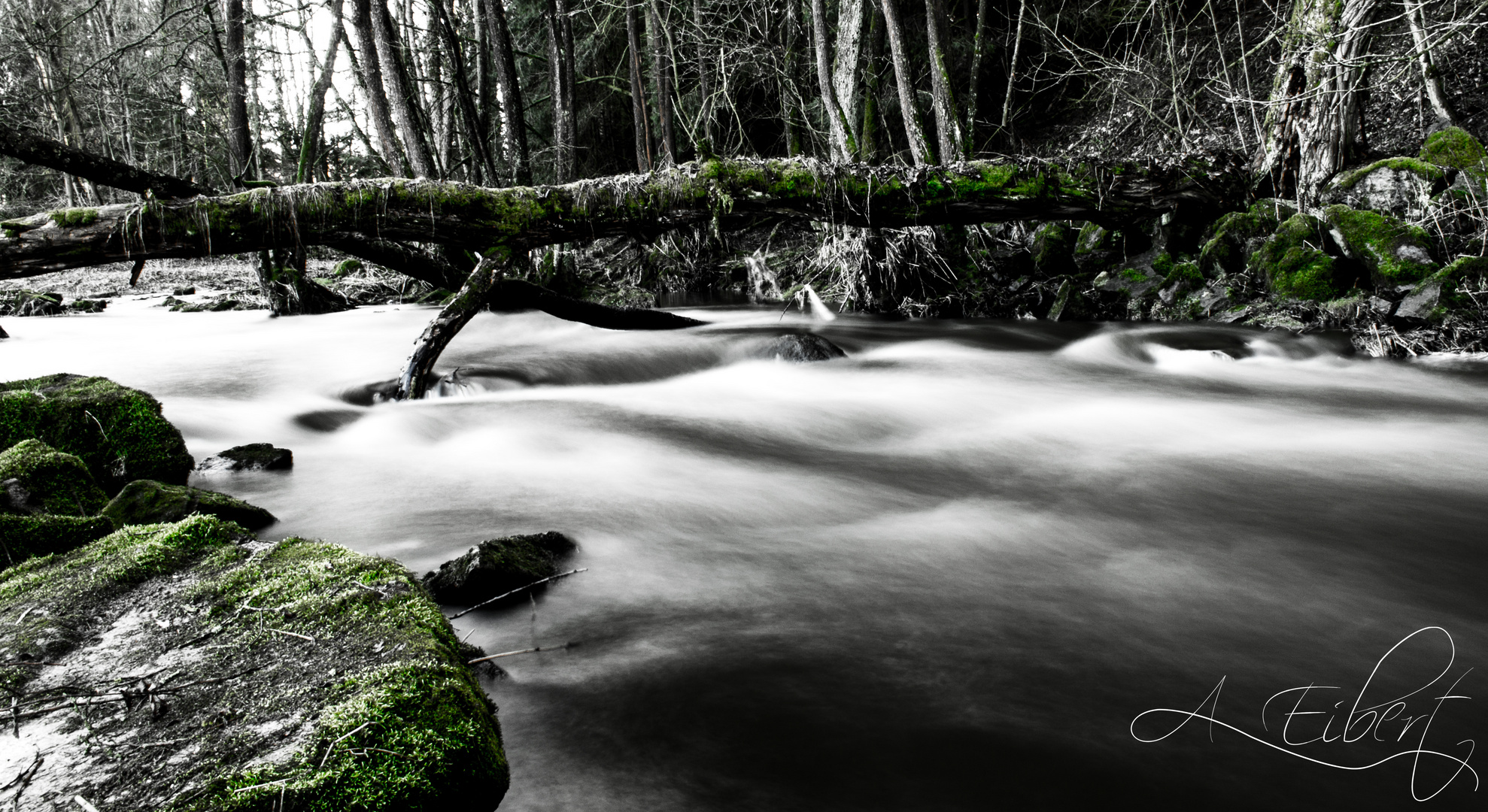 Vintage Bridge