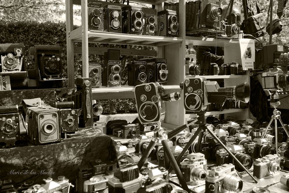 ...vintage cameras...