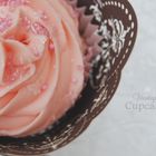 Vintage Cupcake