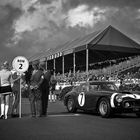 Vintage Goodwood 5