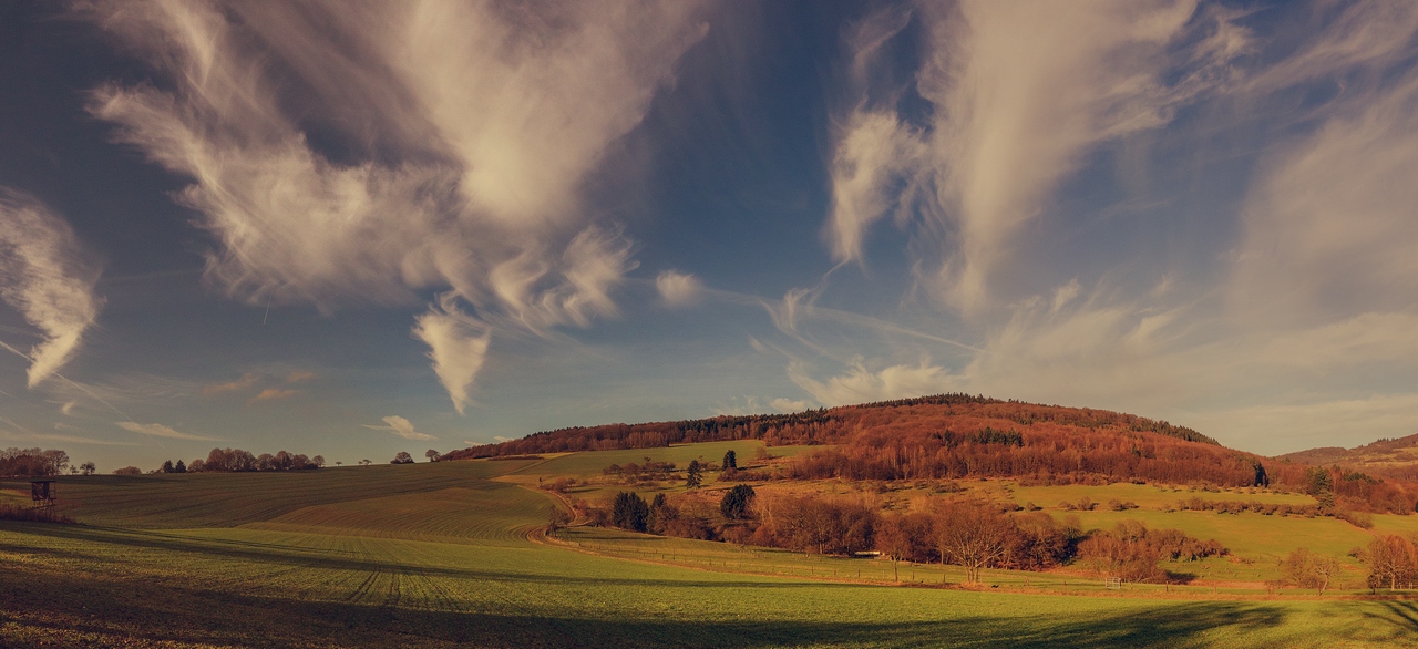 Vintage Summer im Taunus