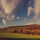 Vintage Summer im Taunus