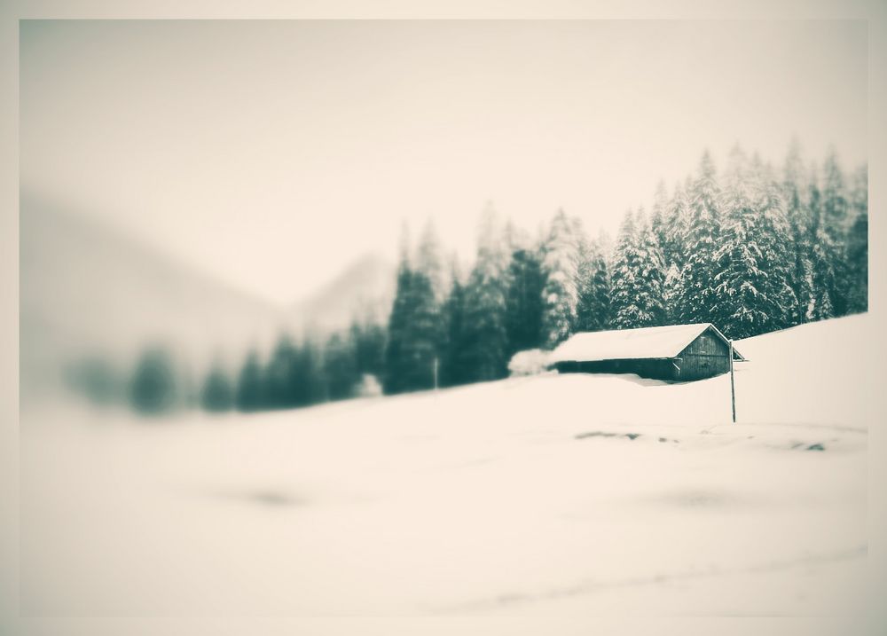 Vintage Winter