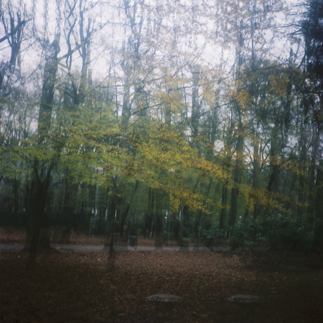 Vintage_il parco delle terme