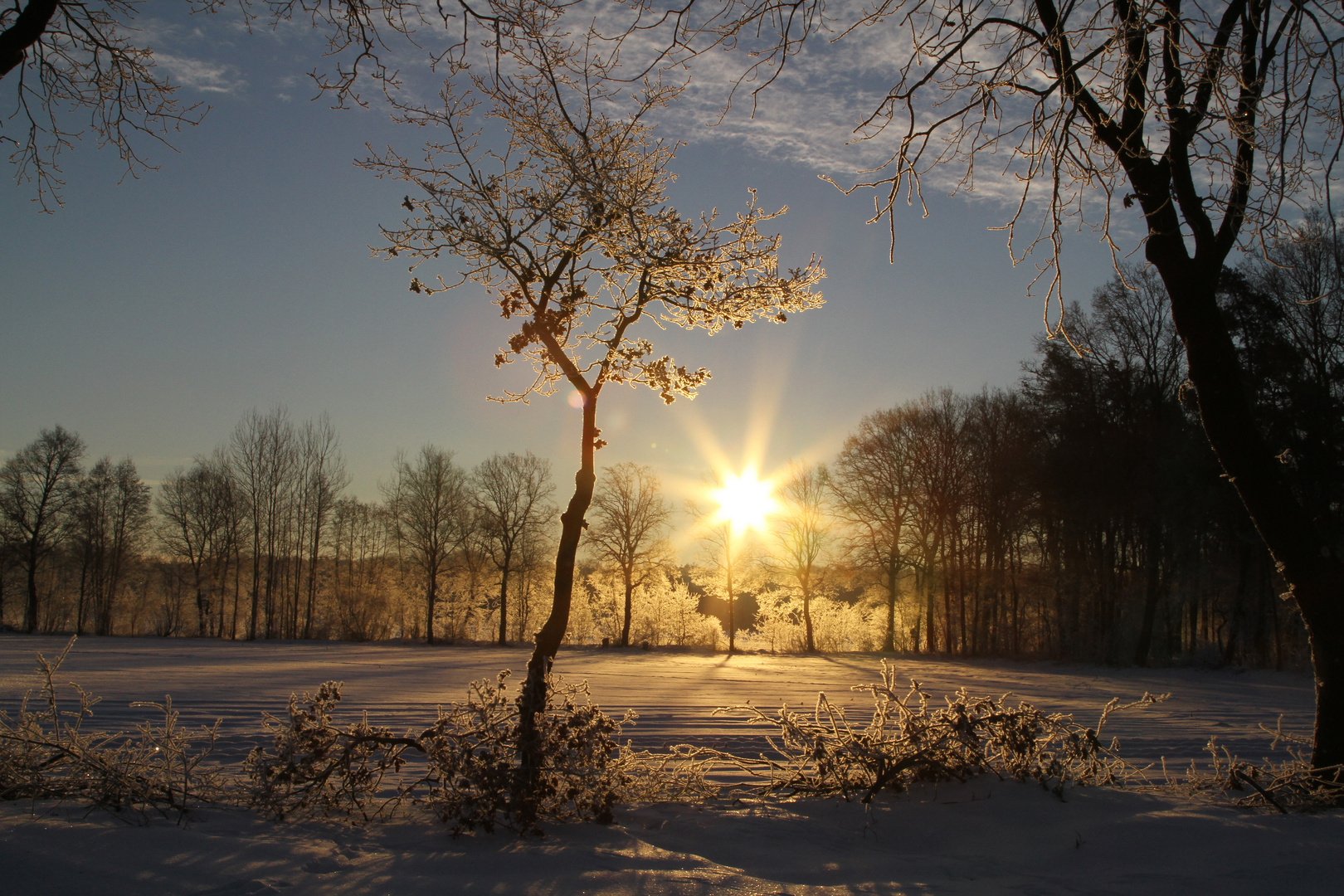 Vinter Sonnenaufgang