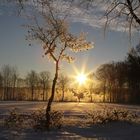 Vinter Sonnenaufgang