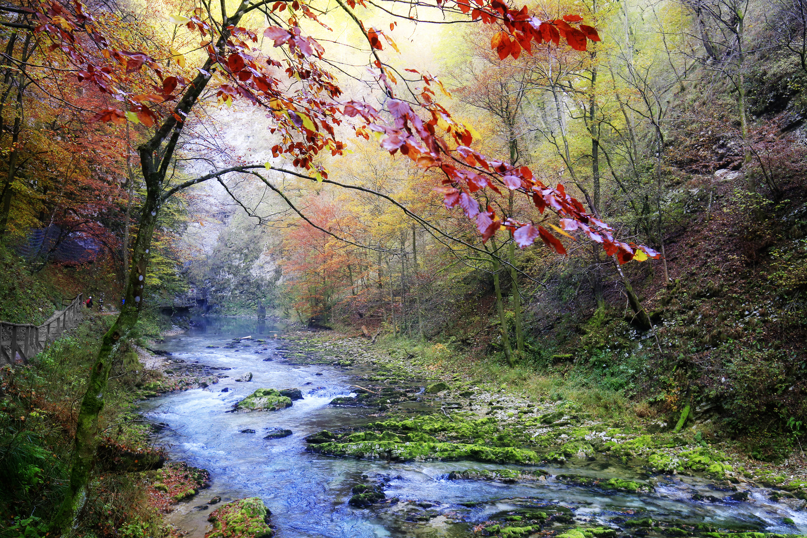 Vintgar Klamm