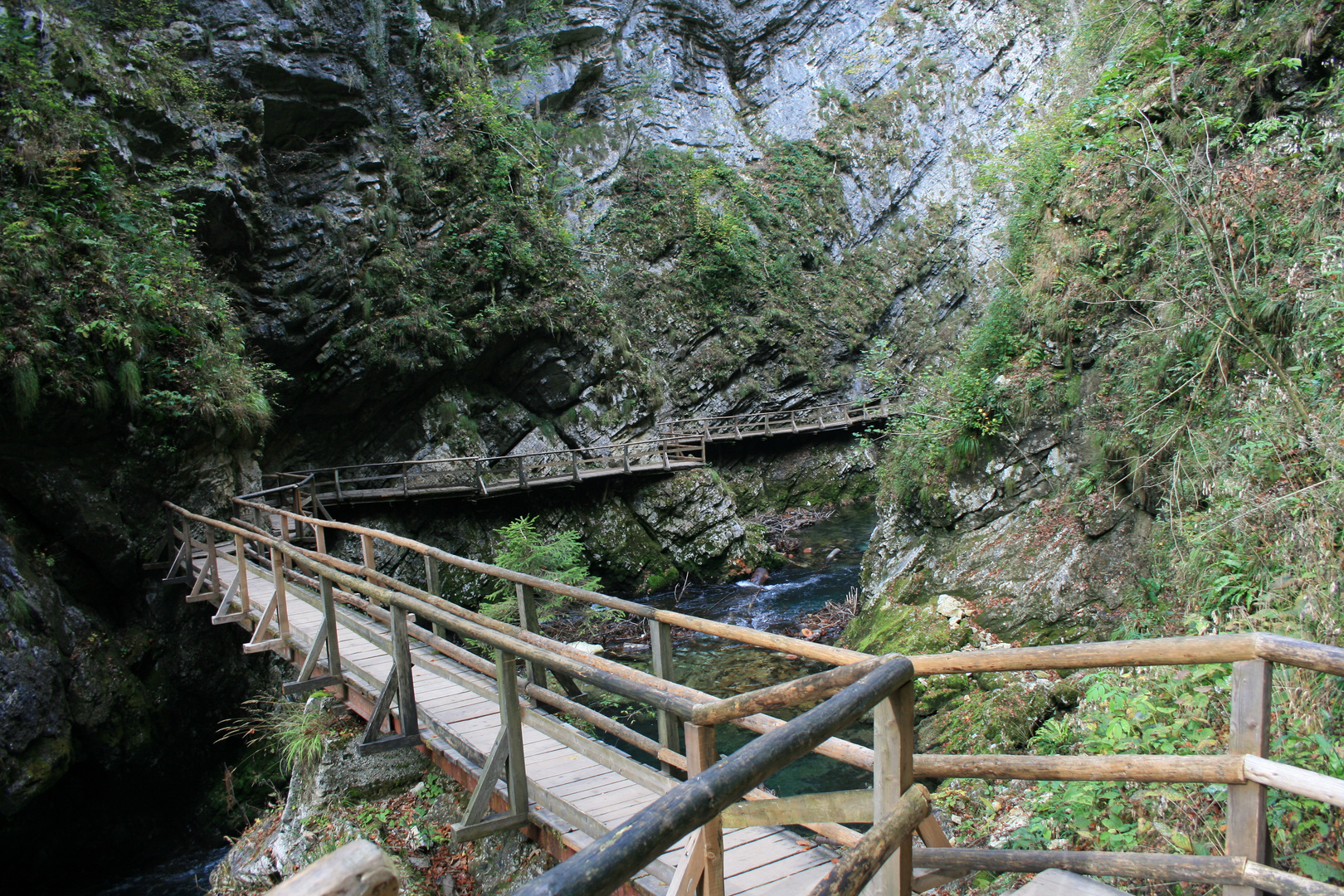 Vintgar-Klamm (2)