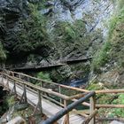 Vintgar-Klamm (2)