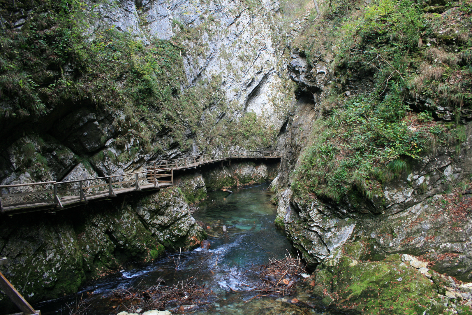 Vintgar-Klamm (3)