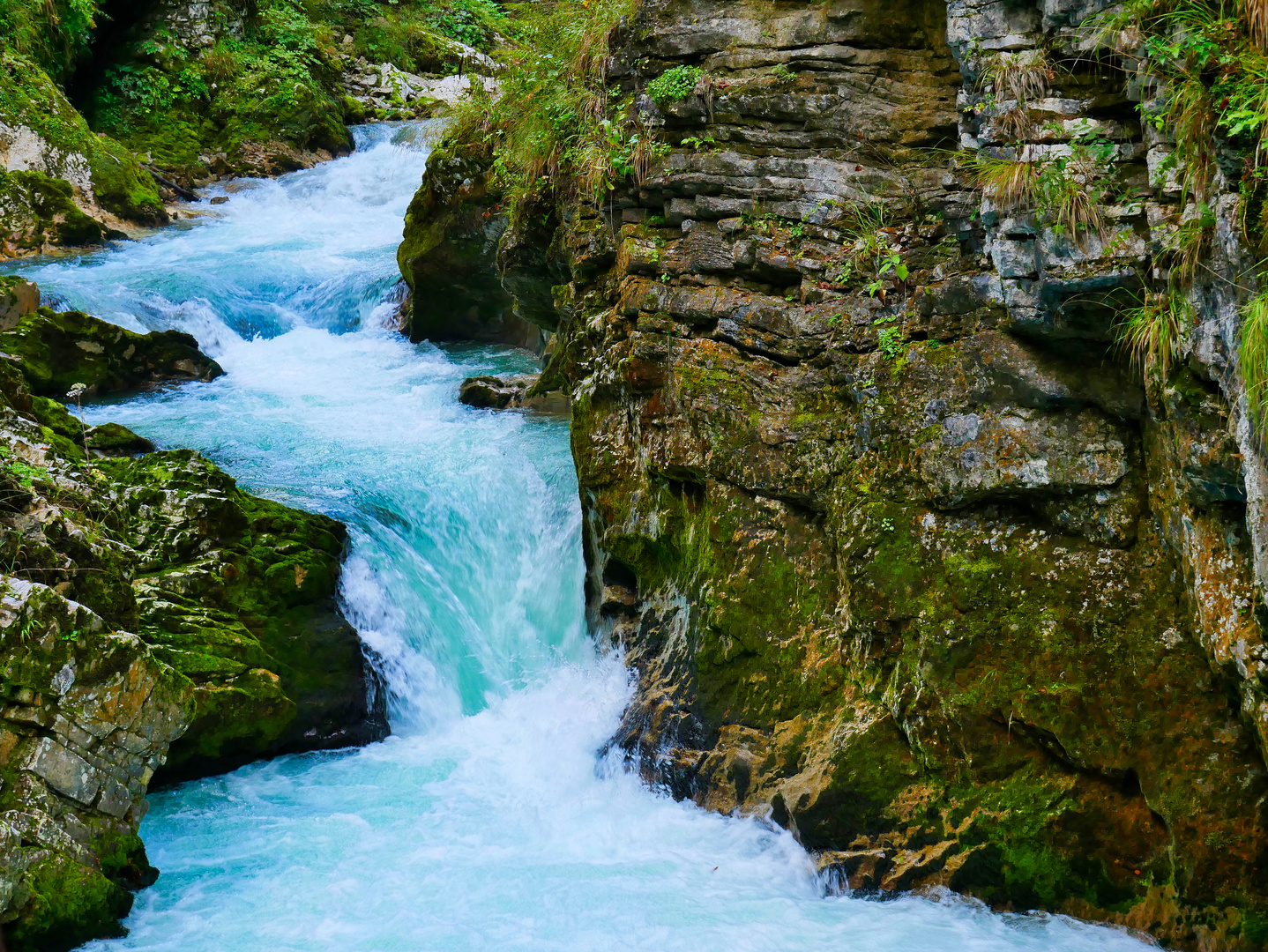 VINTGAR KLAMM