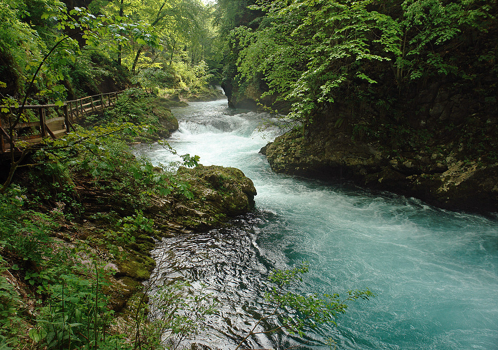 Vintgar-Schlucht