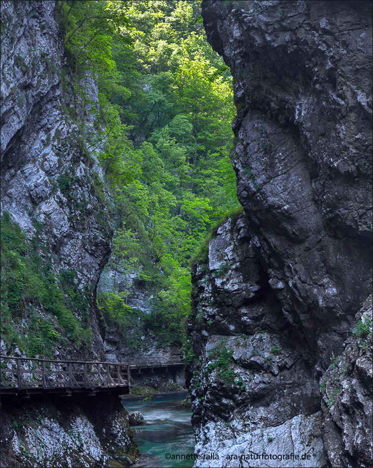 Vintgarschlucht