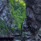 Vintgarschlucht