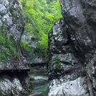 Vintgarschlucht