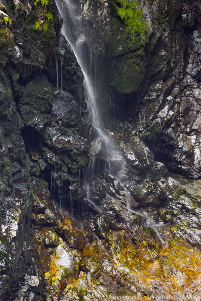 Vintgarschlucht - im Detail