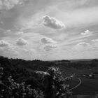 Vinyards above Stuttgart-City-