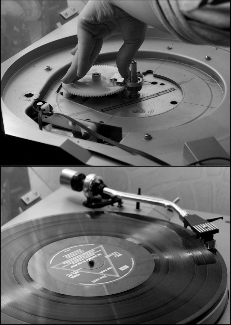 vinyl