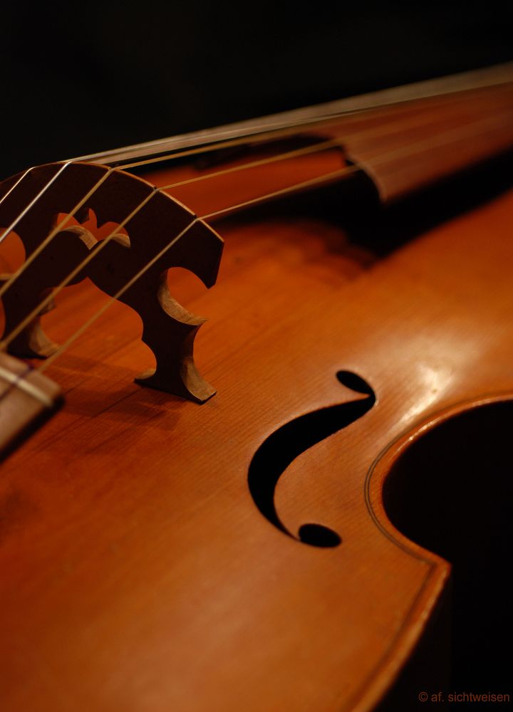 Viola da Gamba Foto & Bild kunstfotografie & kultur, musik & konzert