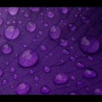 Violet Drops