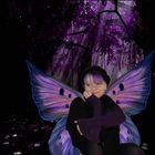 Violet Fairy