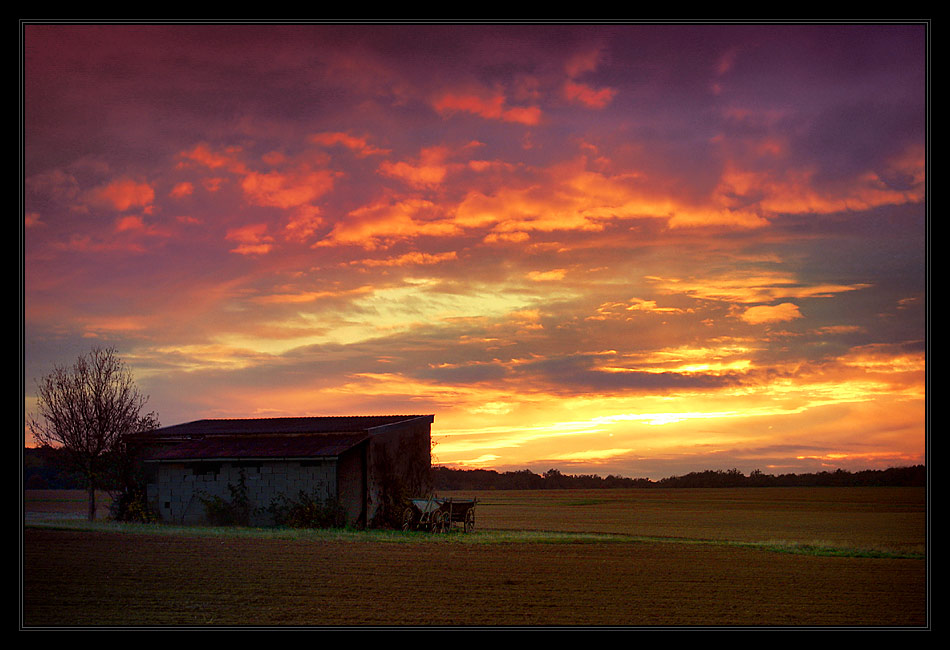 violet skies...