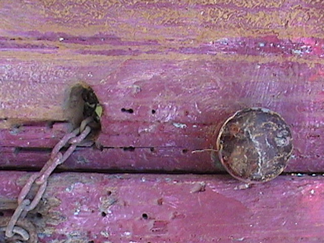 Violeta con Detalles