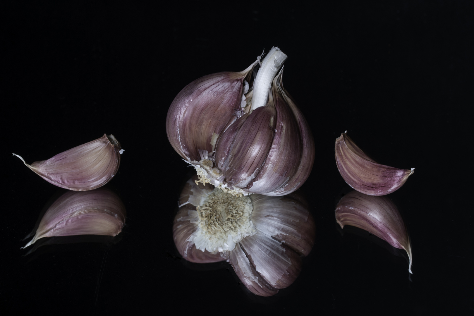 Violetter Knoblauch