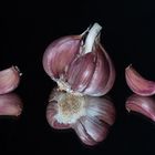 Violetter Knoblauch