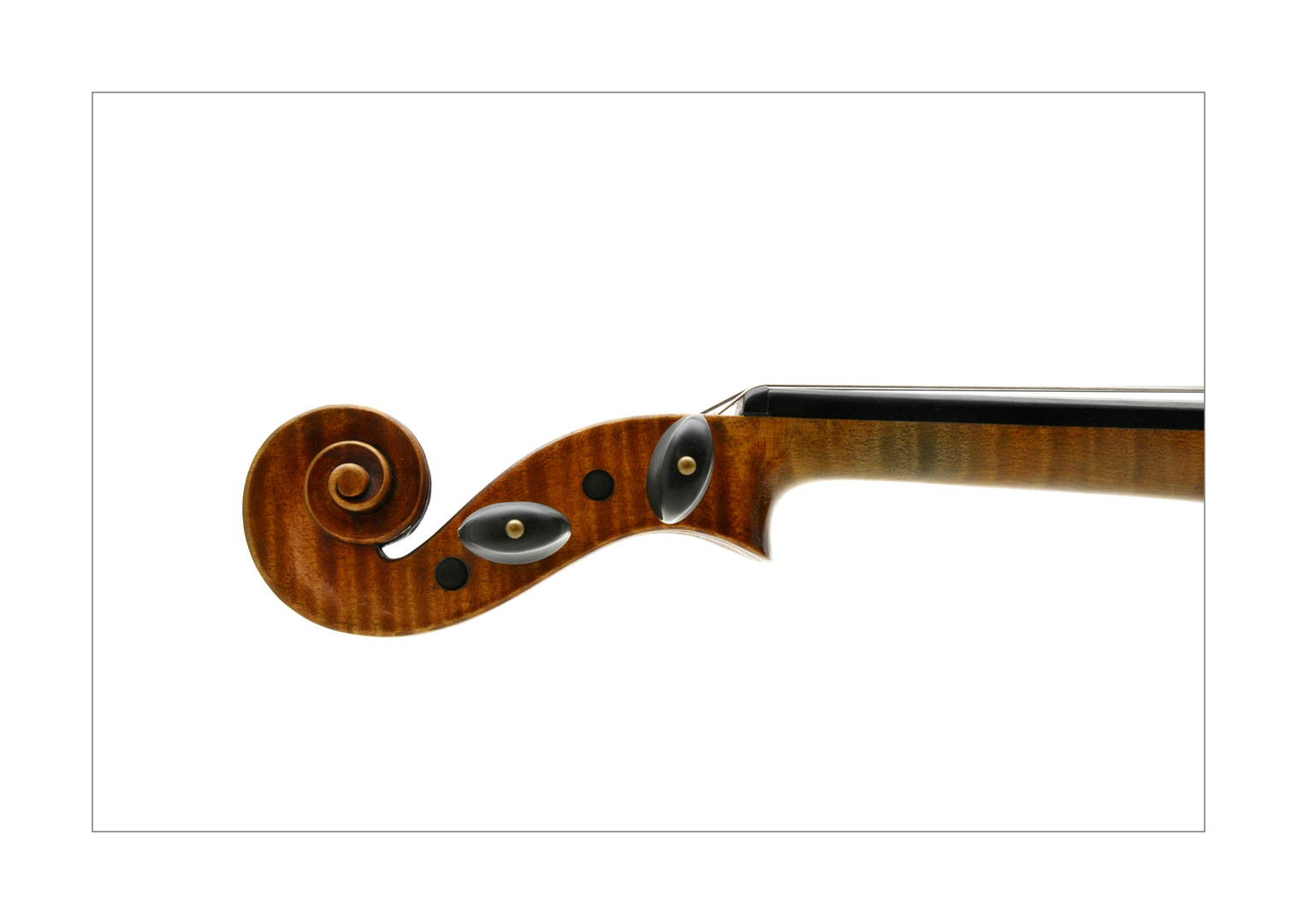 Violin #2