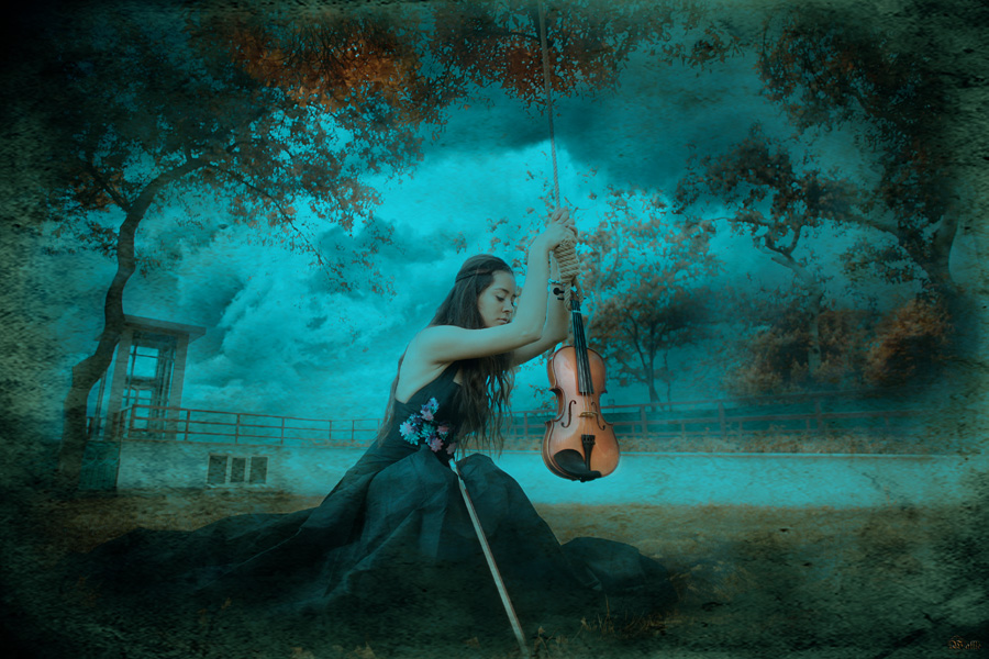 Violin