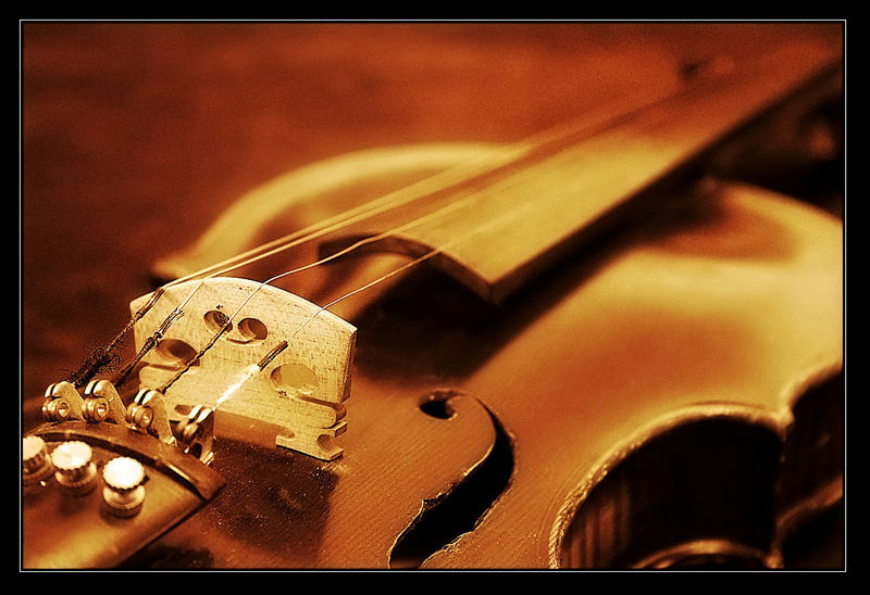 violin