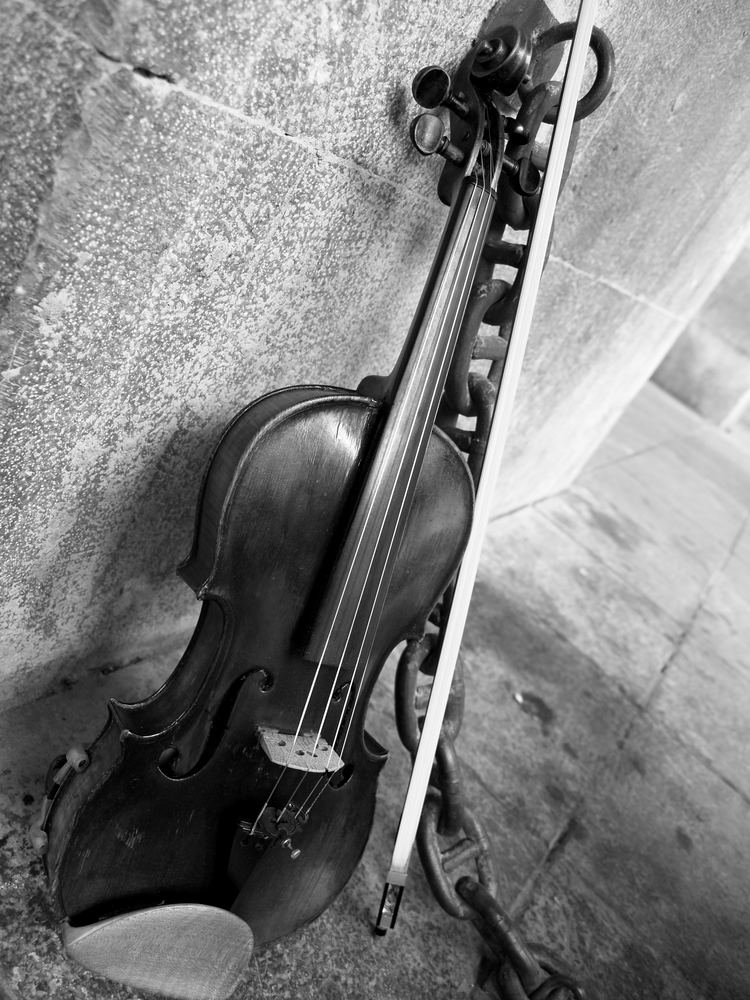 Violín