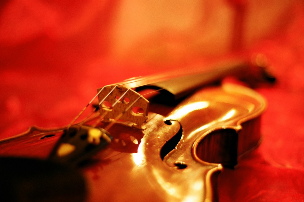 violin3