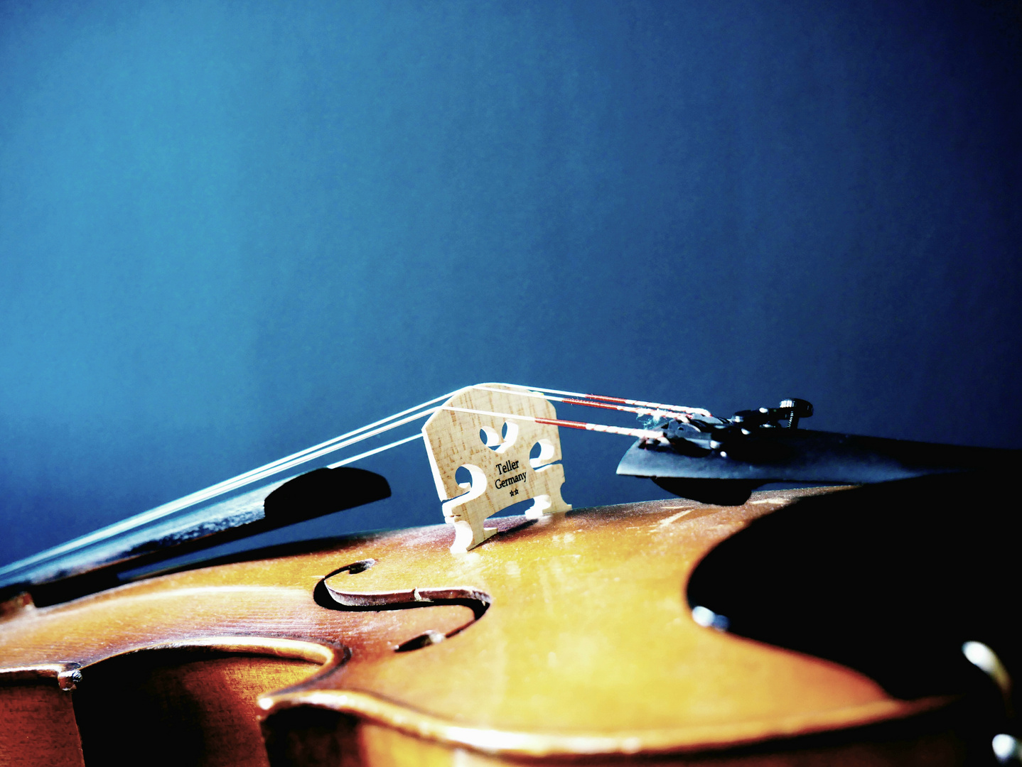 Violine