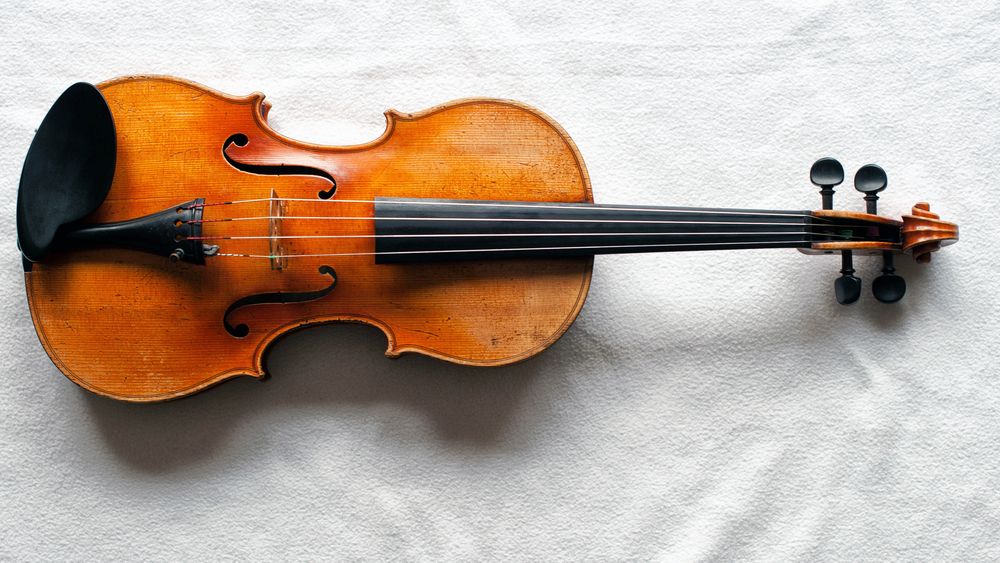 Violine