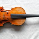 Violine