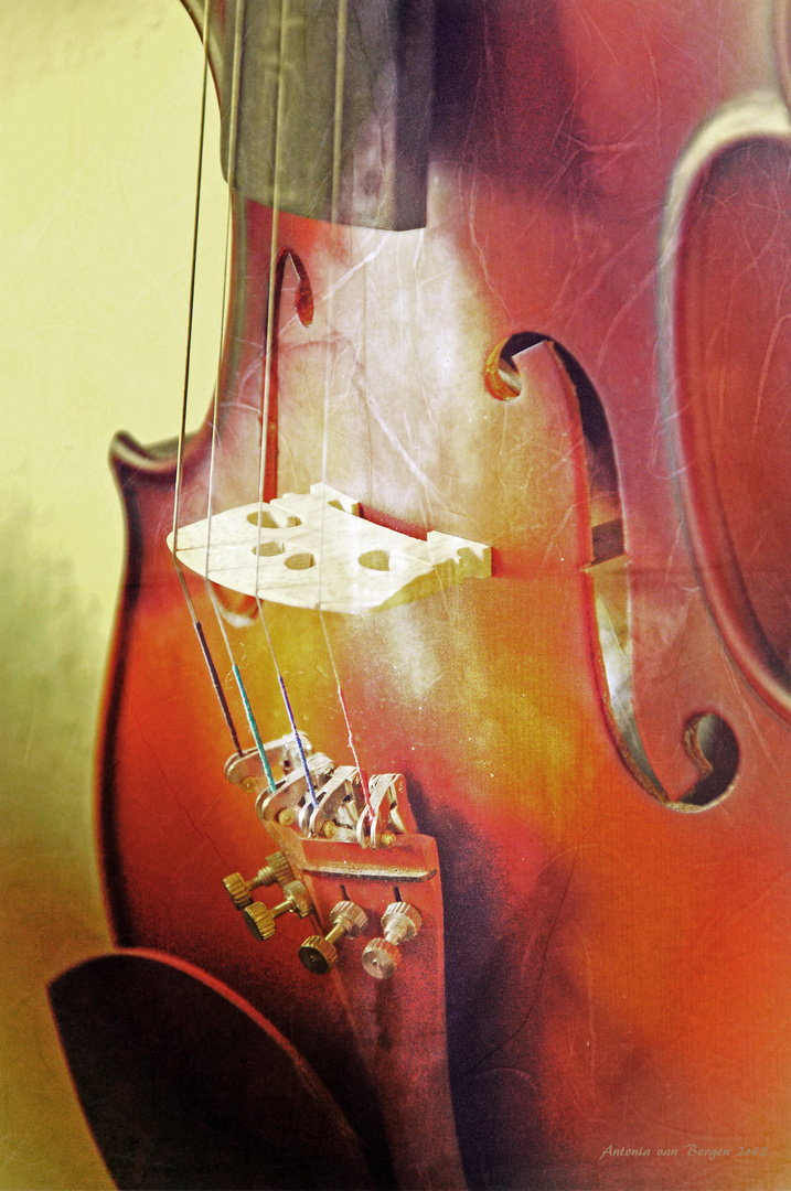 Violine 4/4, mit Feinstimmern