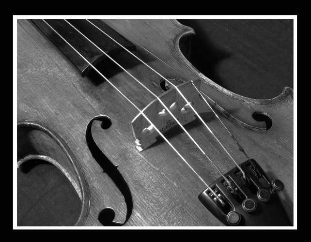 Violine