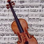 Violine