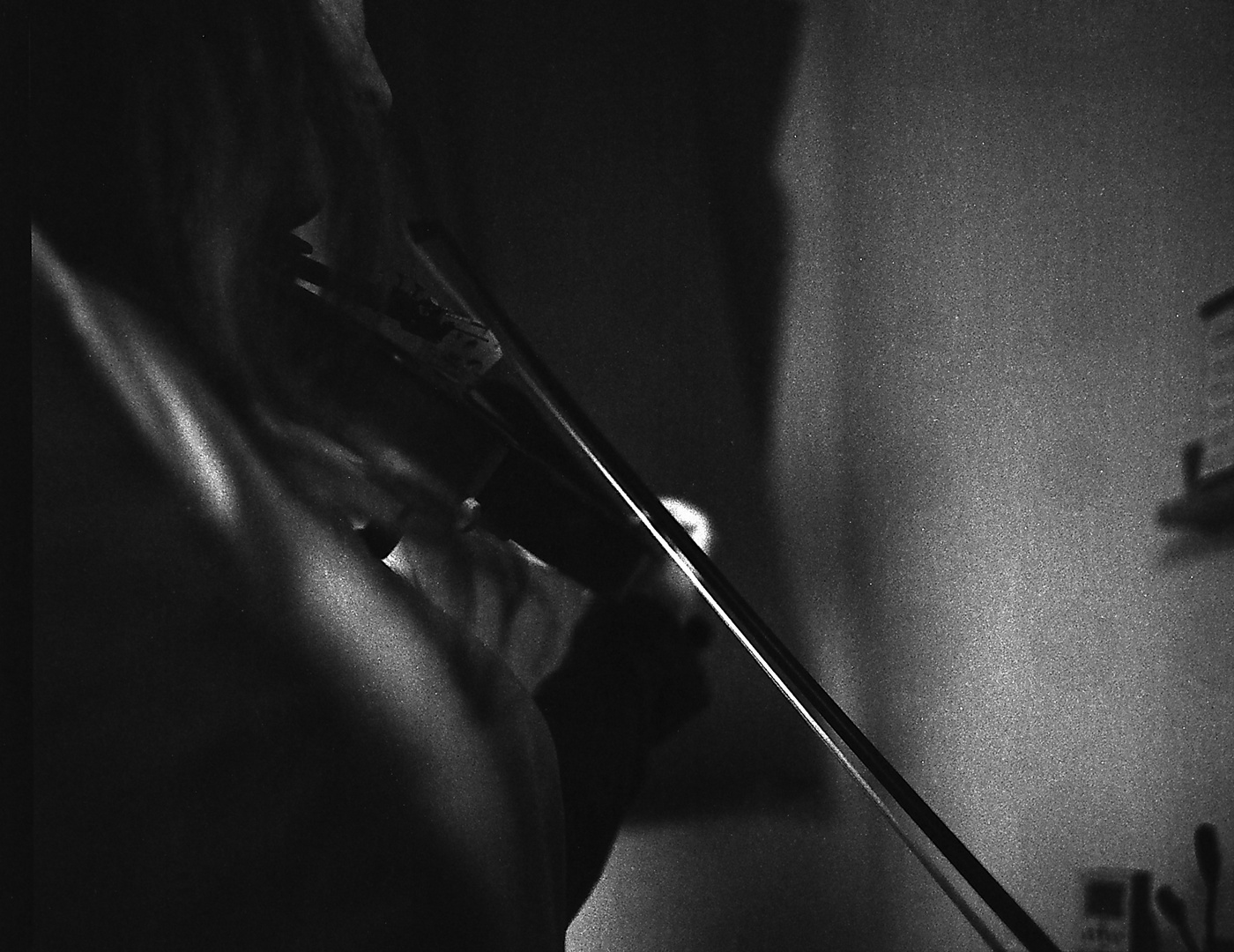 Violine