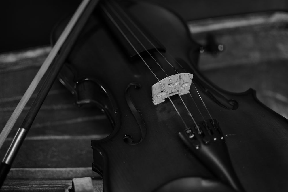 Violine_004