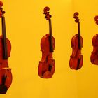 Violines