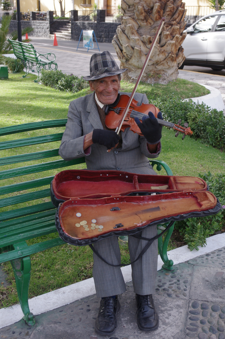 violinista