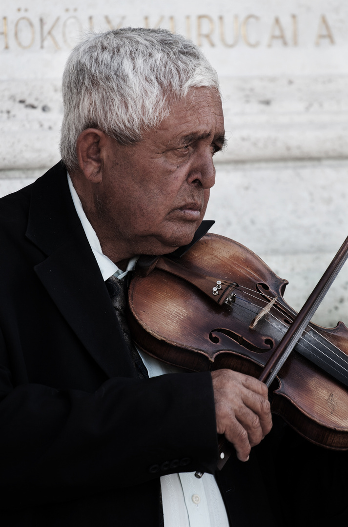 Violinista