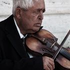 Violinista