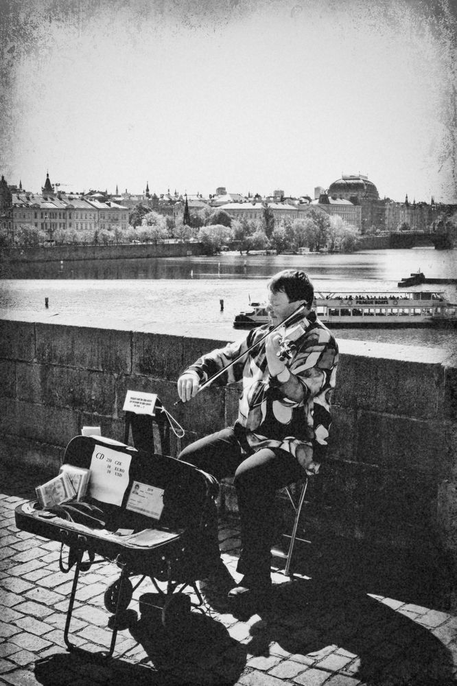 Violinista sul ponte Carlo, Praga