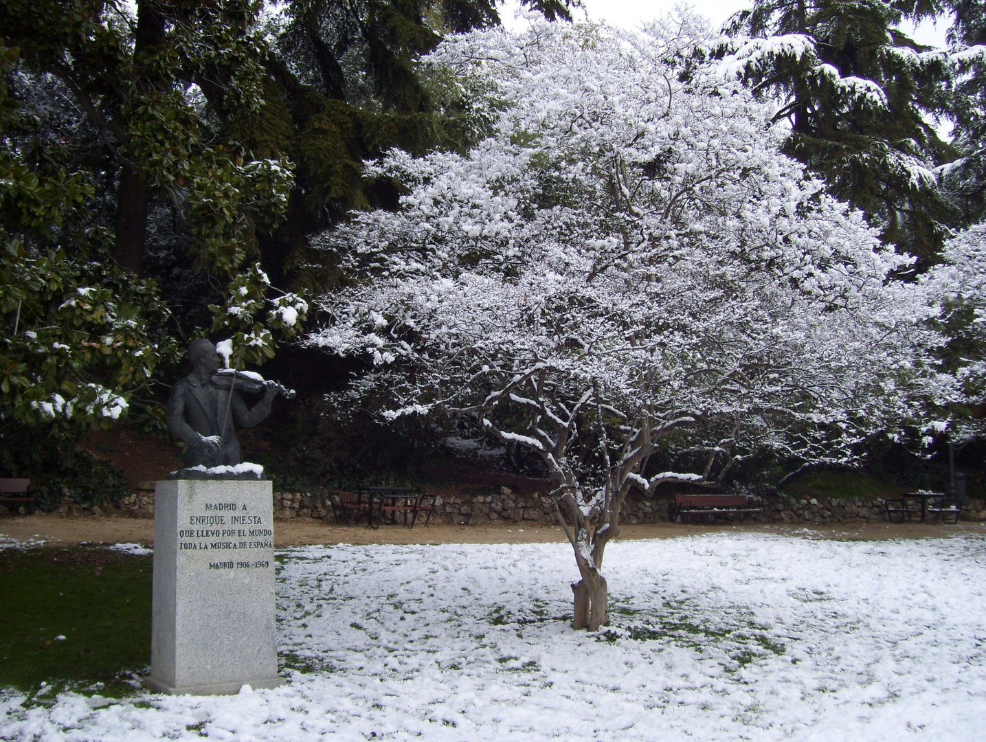 Violinista y arbol nevado