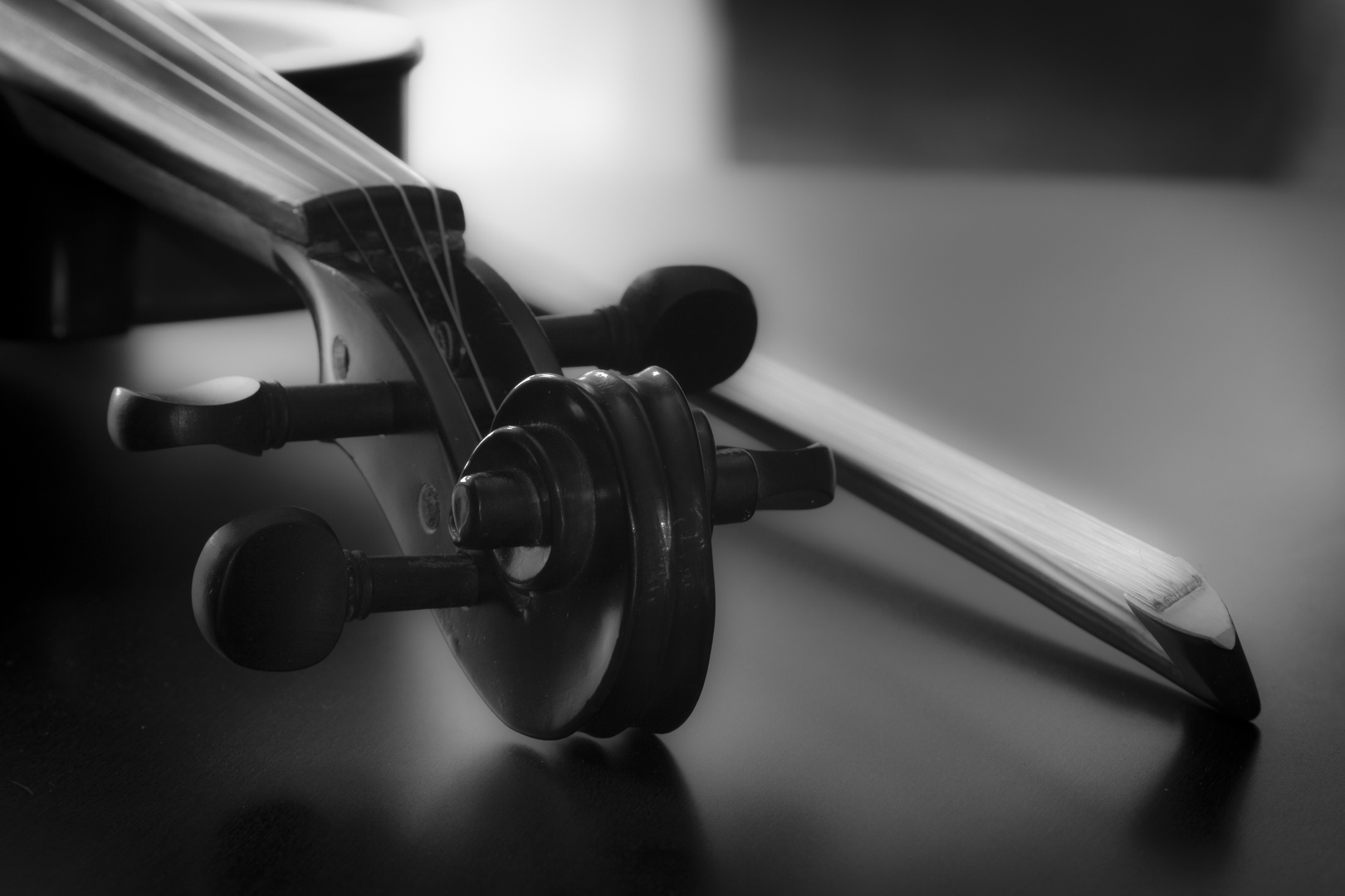 Violino